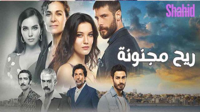 مسلسل إنها مجنونة الحلقة 40 الاربعون مدبلجة HD